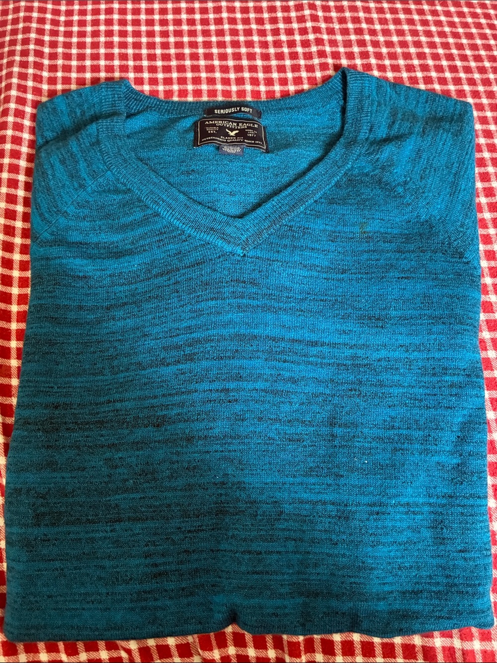 American Eagle Outfitters Teal V-Neck Men's Sweater